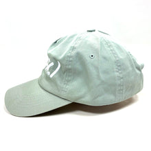 Load image into Gallery viewer, LUV(SIC) Sage Dad Hat
